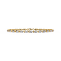 Catena Luminosa