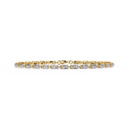 Catena Luminosa