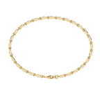 Catena Luminosa