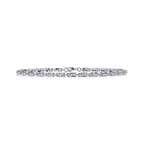 Catena Luminosa